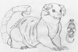 Conjura - Travel mode